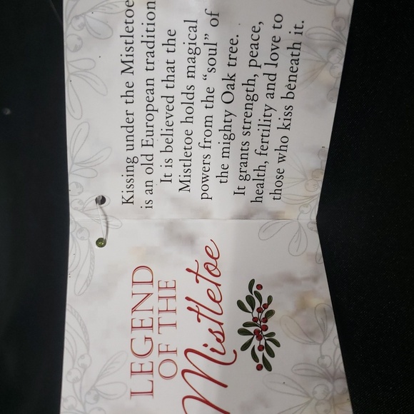 Ganz Kissing Krystals NWT Cardinal With Mistletoe Ornament - Picture 6 of 6